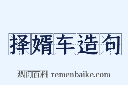 择婿车造句是什么意思的图片